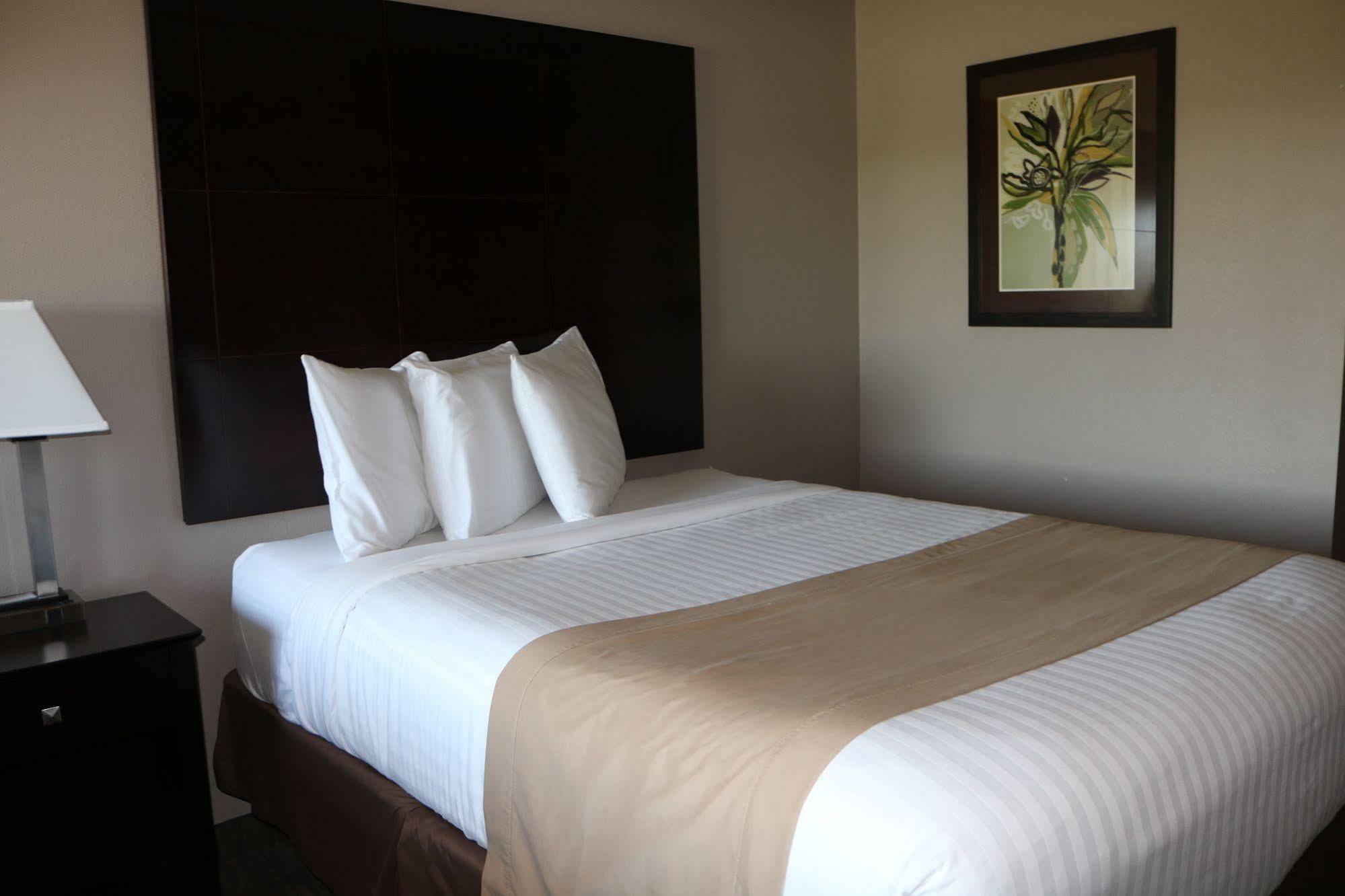 Qube Hotel - Polk City Экстерьер фото